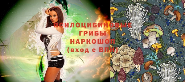 кокс Арсеньев