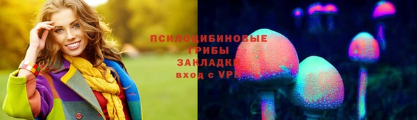 кокс Арсеньев