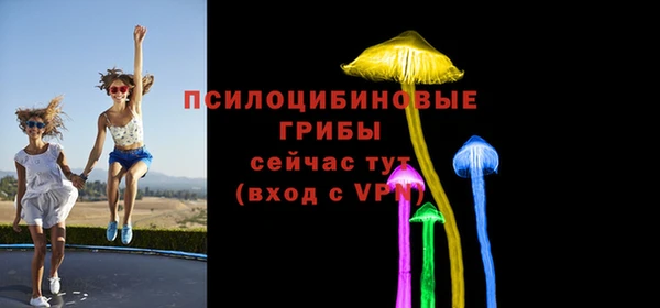кокс Арсеньев