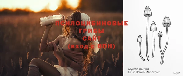 соль ск Балахна