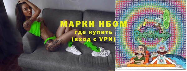 шишки Армянск
