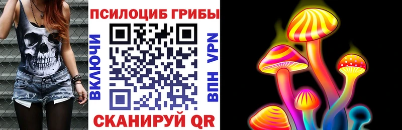 Псилоцибиновые грибы Magic Shrooms  где купить наркоту  Оленегорск 